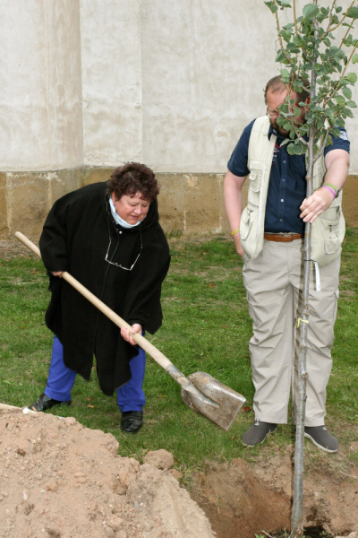 009 IMG_2538 f.jpg